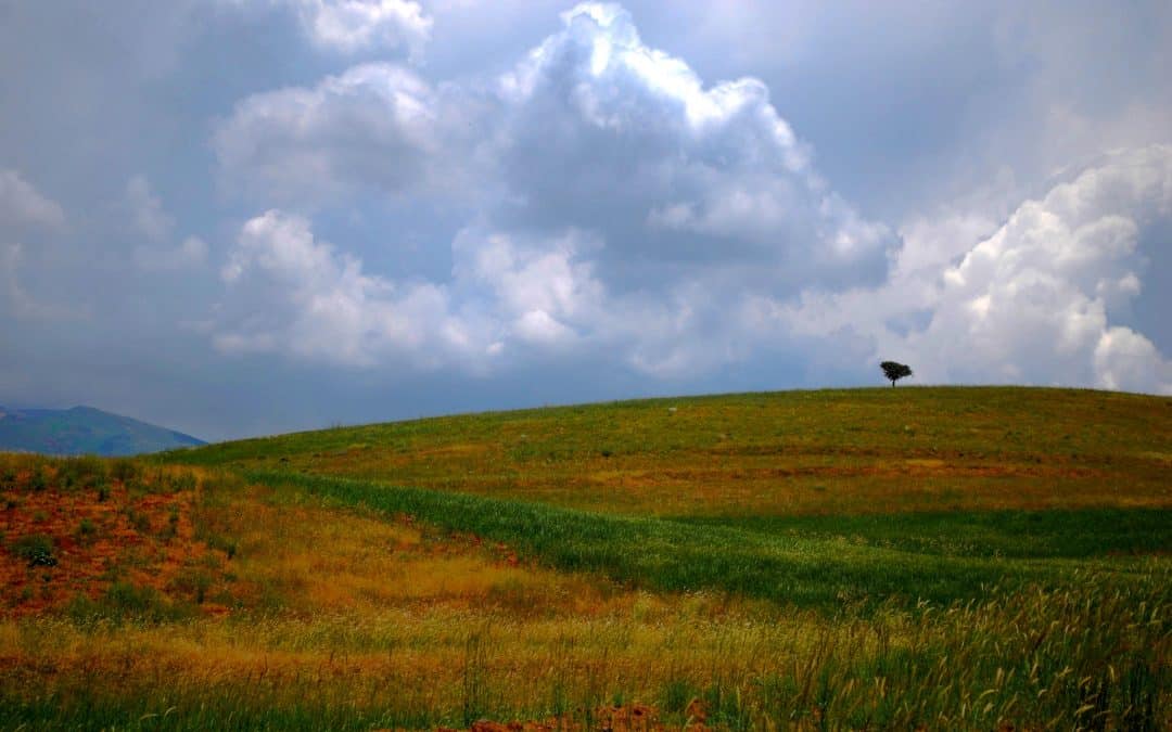 Cultural Landscape of Alamout