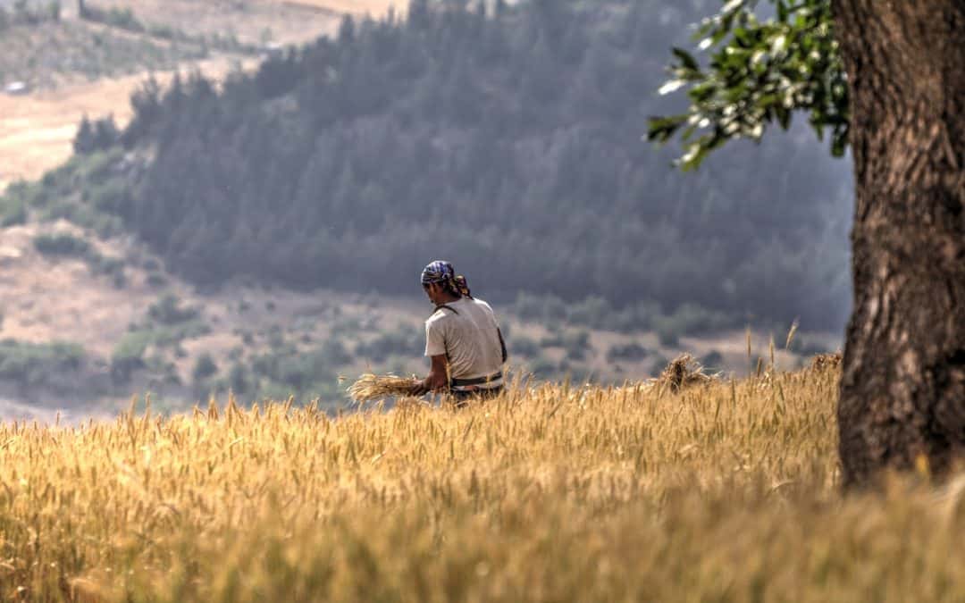 Golestan National Park